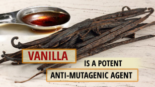 Vanilla is a Potent Anti-Mutagenic Agent Vanilla is a Potent Anti-Mutagenic Agent