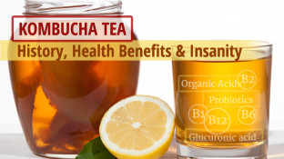 Kombucha Tea - History, Health Benefits & Insanity Kombucha Tea - History, Health Benefits & Insanity