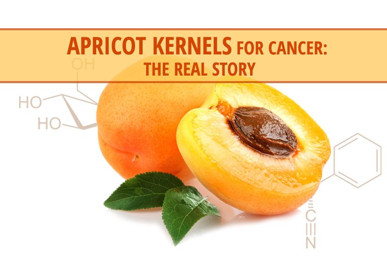 Apricot Kernels for Cancer The Real Story