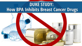 Duke Study: How BPA Inhibits Breast Cancer Drugs Duke Study: How BPA Inhibits Breast Cancer Drugs