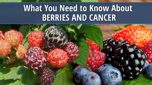 What You Need to Know About Berries and Cancer What You Need to Know About Berries and Cancer