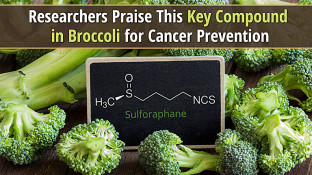 Researchers Praise This Key Compound in Broccoli for Cancer Prevention Researchers Praise This Key Compound in Broccoli for Cancer Prevention