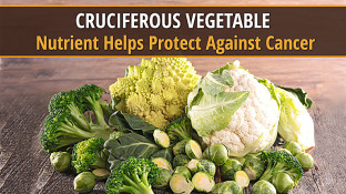 Cruciferous Vegetable Studies Prove Mainstream Medicine Wrong - You Can Change the Destiny of Your Genes and Protect Against Cancer Cruciferous Vegetable Studies Prove Mainstream Medicine Wrong - You Can Change the Destiny of Your Genes and Protect Against Cancer