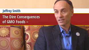 The Dire Consequences of GMO Foods (video) The Dire Consequences of GMO Foods (video)