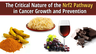 The Critical Nature of the Nrf2 Pathway in Cancer Growth and Prevention The Critical Nature of the Nrf2 Pathway in Cancer Growth and Prevention