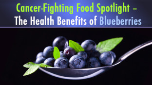Cancer-Fighting Food Spotlight – The Health Benefits of Blueberries Cancer-Fighting Food Spotlight – The Health Benefits of Blueberries