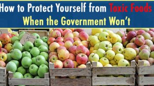 How to Protect Yourself from Toxic Foods When the Government Won’t How to Protect Yourself from Toxic Foods When the Government Won’t