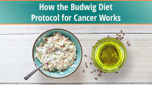 How the Budwig Diet Protocol for Cancer Works How the Budwig Diet Protocol for Cancer Works