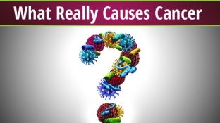 What Really Causes Cancer What Really Causes Cancer