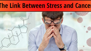 The Link Between Stress and Cancer...How Fat Can Reverse Its Deadly Effects The Link Between Stress and Cancer...How Fat Can Reverse Its Deadly Effects