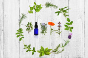 The Top Five Essential Oil Pairs for Gut Health