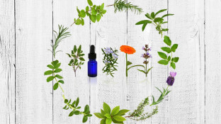 Top 4 Essential Oil Pairs for Gut Health Top 4 Essential Oil Pairs for Gut Health