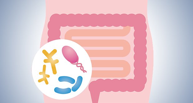 Why a Healthy Gut is Key to Cancer Prevention