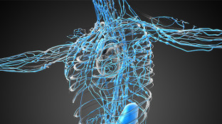 10 Ways to Improve Your Lymphatic System Function 10 Ways to Improve Your Lymphatic System Function