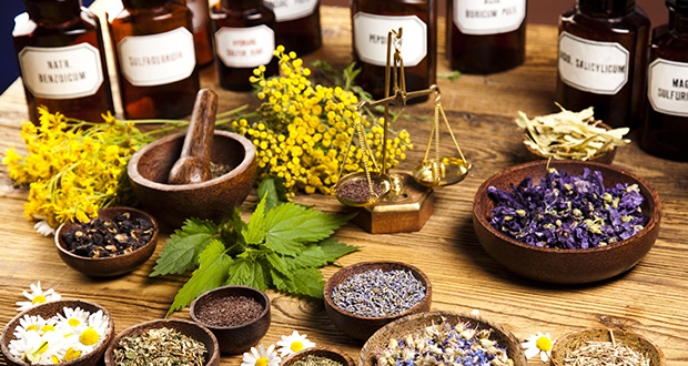 The War on Alternative Medicine by Ty Bollinger