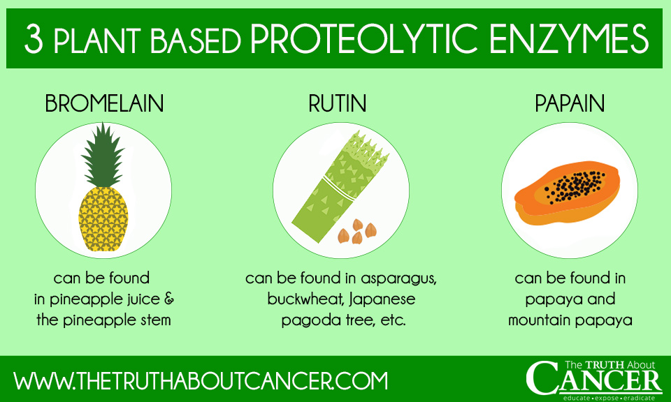 How Systemic Proteolytic Enzymes Fight Cancer 8029