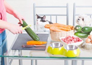 A whole food diet of mostly meats, organs, and bones, supplemented with appropriate vegetables, is optimal for both cats and dogs