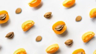 Apricot Kernels for Cancer: The Real Story of Laetrile Apricot Kernels for Cancer: The Real Story of Laetrile