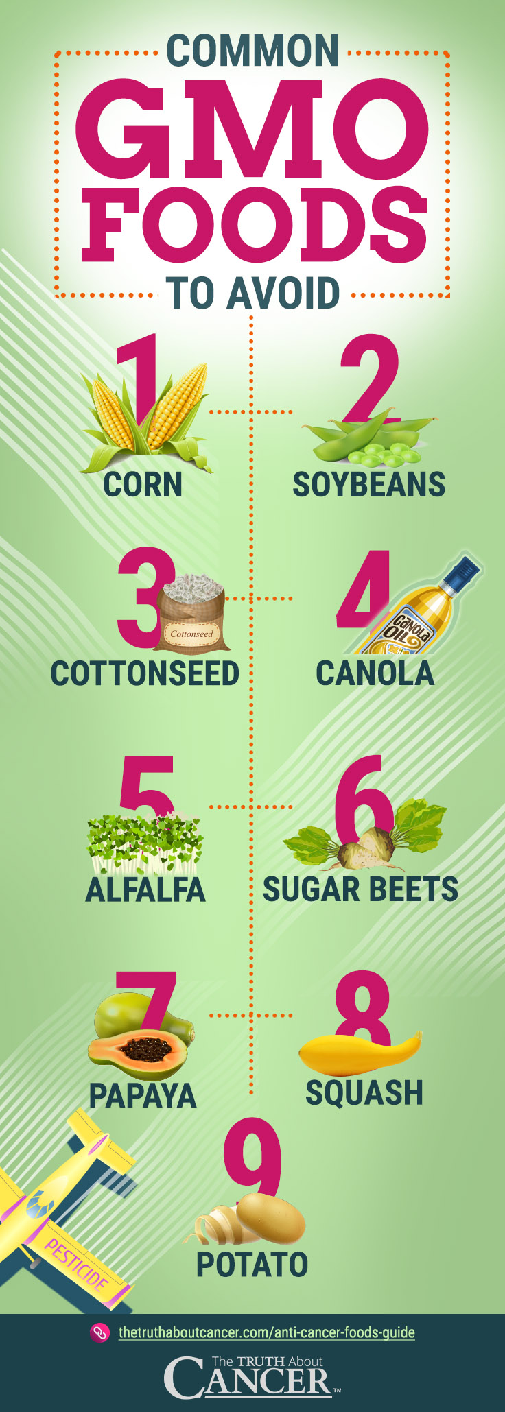 Common GMO Foods to Avoid