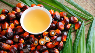 The Truth About Inflammation and Cancer (Part 1) The Truth About Inflammation and Cancer (Part 1)