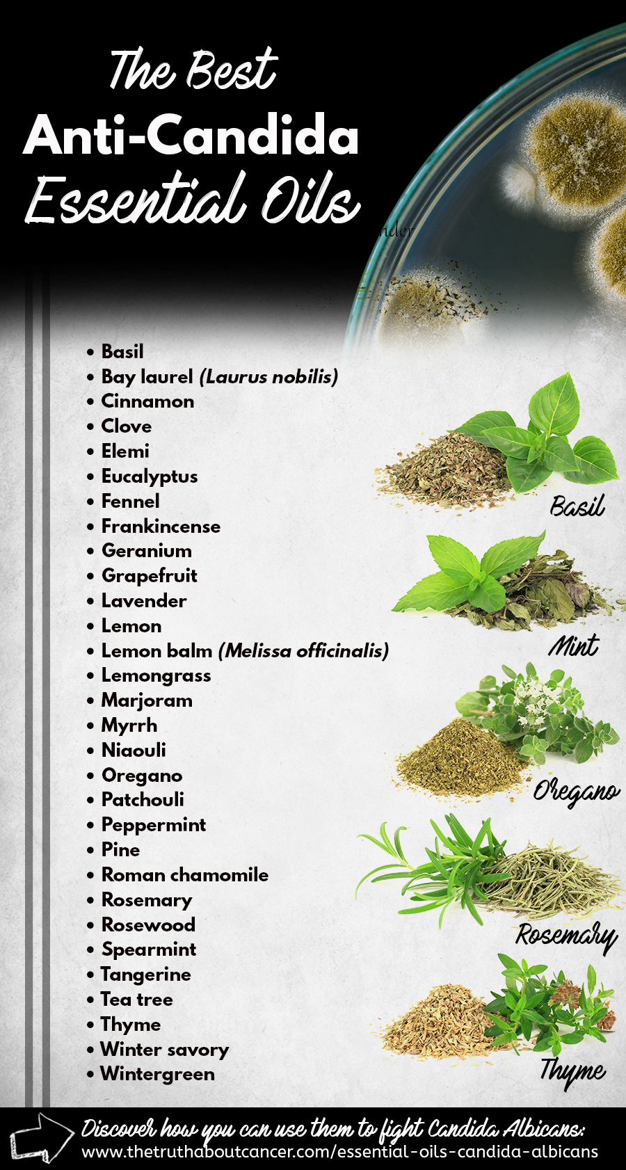 Can you use oil of oregano to treat candida?