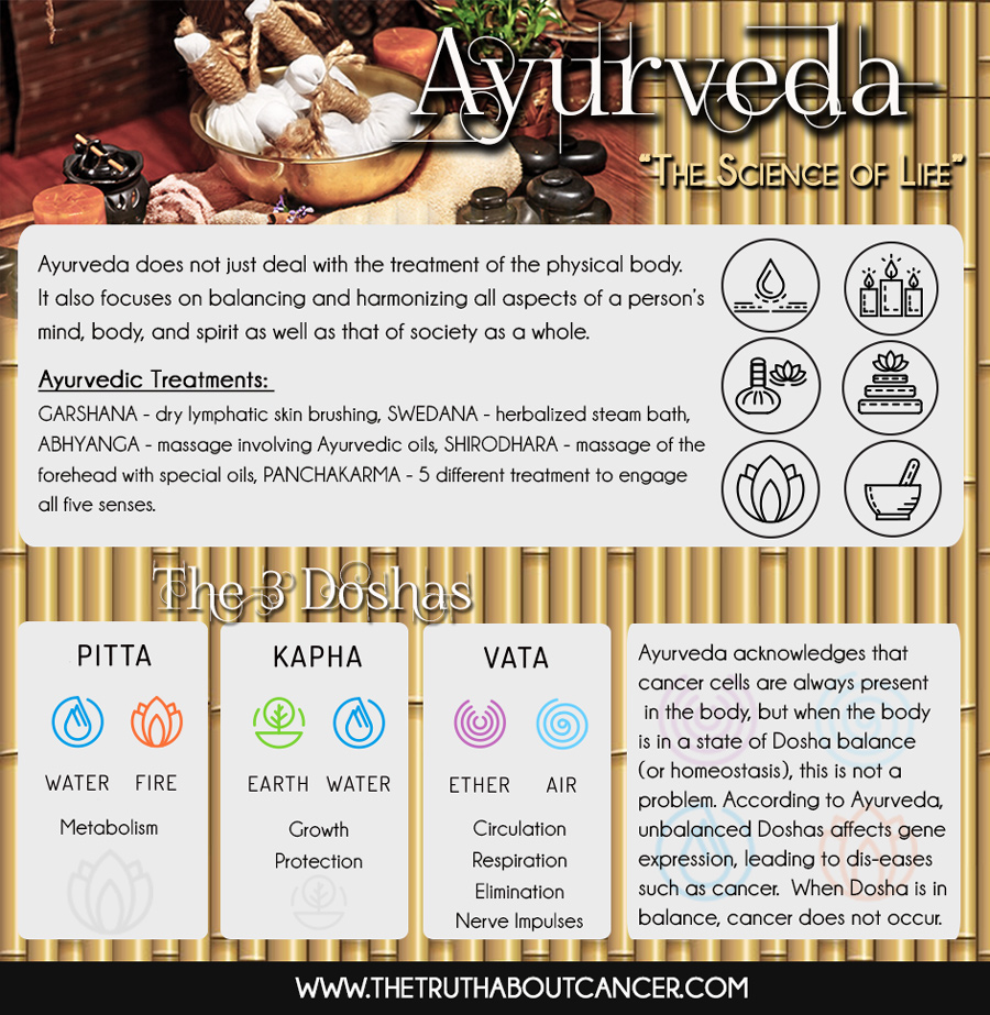 Ayurveda-theraphy-Infographic-