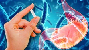 Bacillus Coagulans: A Resilient Probiotic for Maximum Digestive Support Bacillus Coagulans: A Resilient Probiotic for Maximum Digestive Support