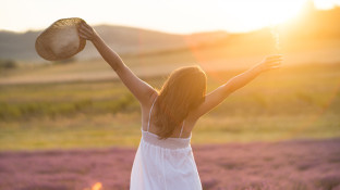 What a Cancer-Free Declaration by Your Doctor Really Means What a Cancer-Free Declaration by Your Doctor Really Means