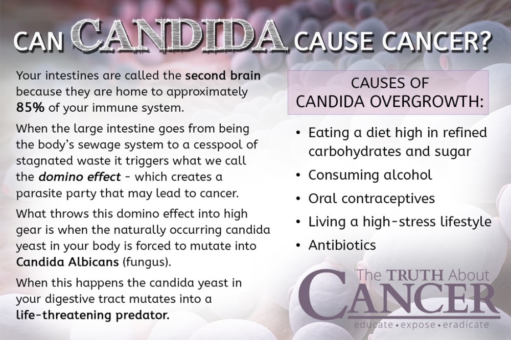 candida overgrowth test