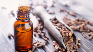 Oil of Cloves - the Aromatic, Anti-Cancer Essential Oil Oil of Cloves - the Aromatic, Anti-Cancer Essential Oil