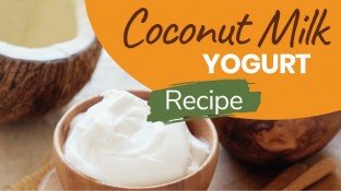 Probiotic-Rich Homemade Coconut Yogurt Recipe Probiotic-Rich Homemade Coconut Yogurt Recipe