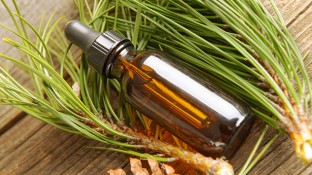 Cancer-fighting Phytochemicals in Coniferous Tree Essential Oils Cancer-fighting Phytochemicals in Coniferous Tree Essential Oils
