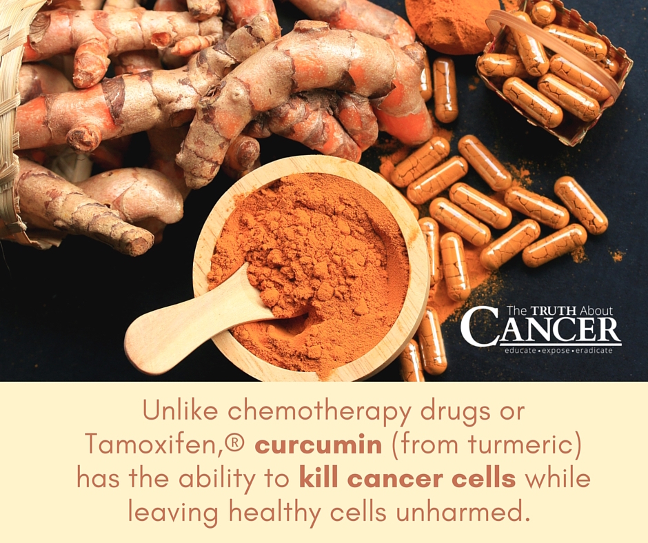 The Amazing Cancer-Fighting Benefits of Curcumin – Alavi Herbs And ...