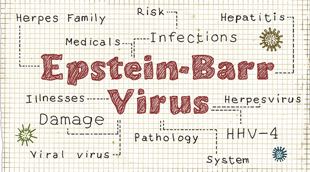 Epstein-Barr-Virus