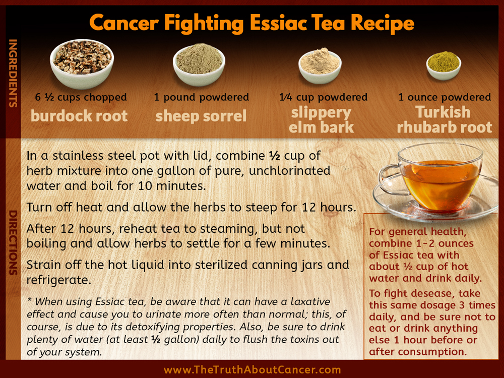 tea essiac recipe cancer book truth excerpt properly prepare
