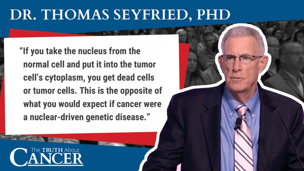 excerpt quote dr. Thomas Seyfried