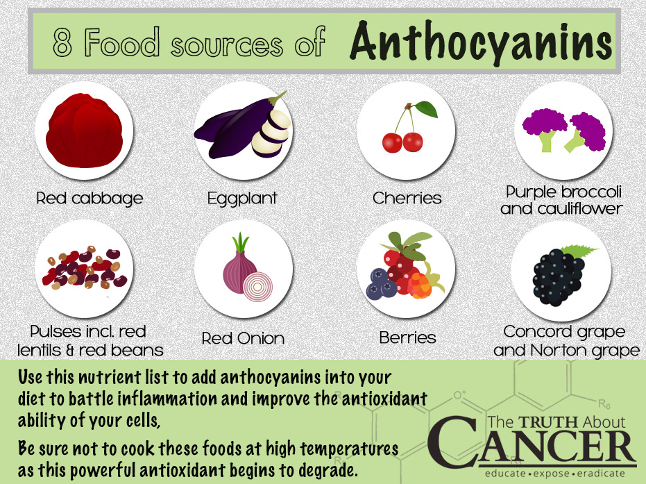 Anthocyanins: 4 Ways This Plant Pigment Protects Against ...