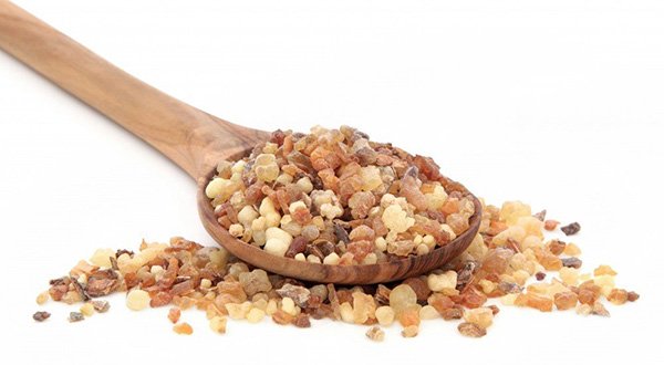 Frankincense - Feature
