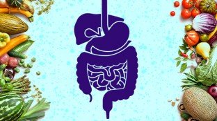 6 Steps to Getting a Healthy Gastrointestinal System That Reduces Cancer Risk 6 Steps to Getting a Healthy Gastrointestinal System That Reduces Cancer Risk