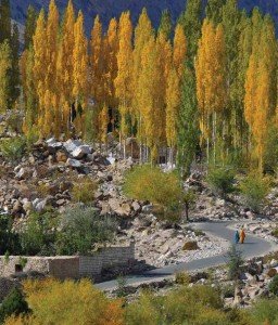 Hunza Valley