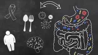 5 Ways Not Having a Healthy Gut Compromises Your Health 5 Ways Not Having a Healthy Gut Compromises Your Health