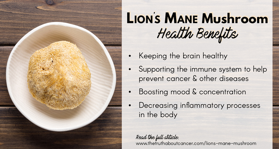 Lion's-mane-mushroom-health-benefits