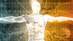 The Role of MTHFR Gene Mutation in Cancer Development The Role of MTHFR Gene Mutation in Cancer Development