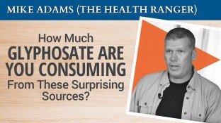 Glyphosate in Food: How Much Are You Consuming From These Surprising Sources? (video) Glyphosate in Food: How Much Are You Consuming From These Surprising Sources? (video)
