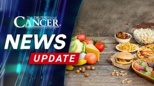 Obesity and Cancer: New Research Discovers Immunity Link Obesity and Cancer: New Research Discovers Immunity Link