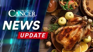 Carbohydrates and Keto: How Holiday Foods Harm and Heal Carbohydrates and Keto: How Holiday Foods Harm and Heal
