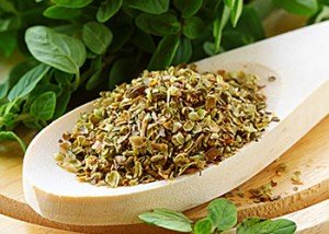 Oregano