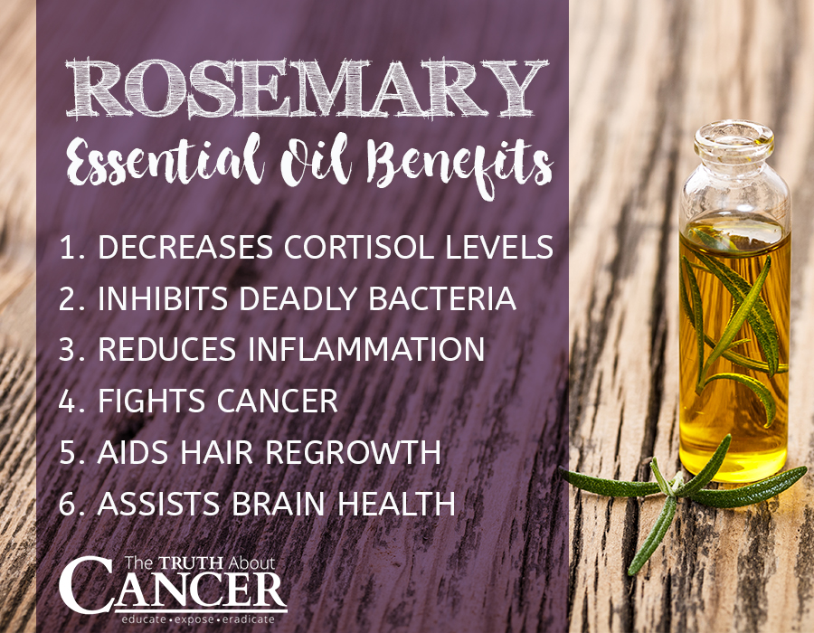 Rosemary-Essential-Oil-Benefits