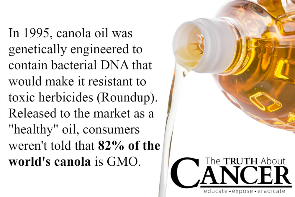 Why Is Canola Oil Not Good