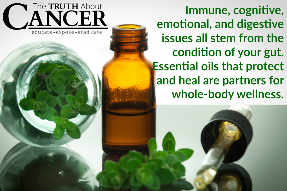 Top 5 Essential Oil Pairs for Gut Health